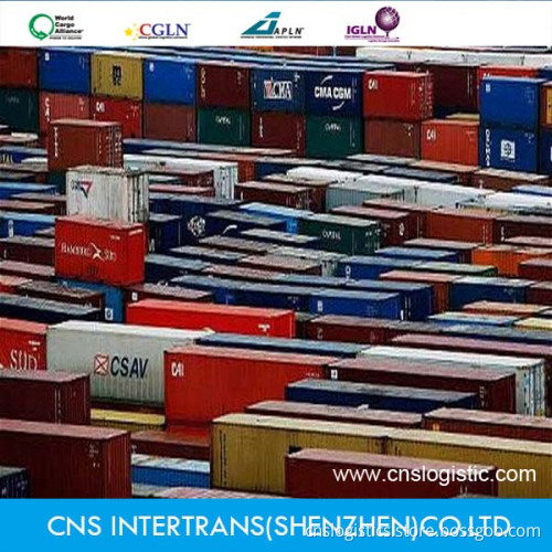 Ocean Shipment Container From Guangzhou/Shanghai/Ningbo to Puerto Cabello/La Guiara/Caucedo/Kingston/Cartagena/Port of Spain